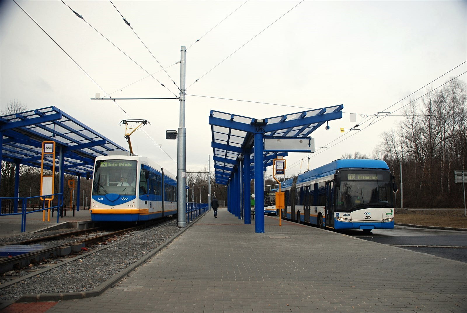Domovská stránka